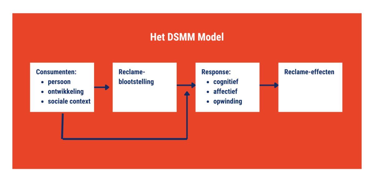 Het DSMM Model - SWOCC